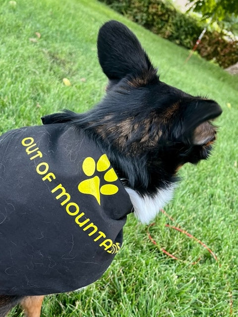 Dog Bandana
