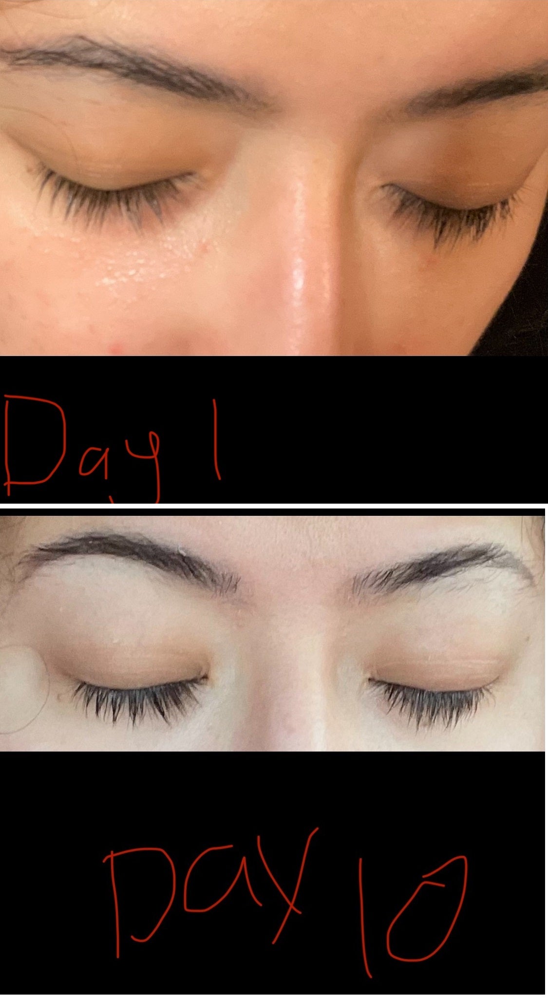 Eyelash Booster